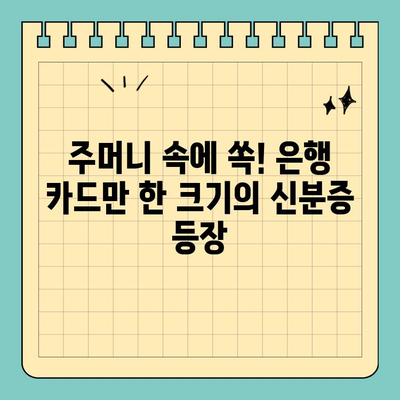 은행 신용카드 크기 신분증, 시범 운영 시작! | 신분증, 모바일 신분증, 디지털 신분증, 편의성