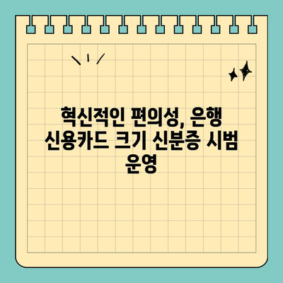 은행 신용카드 크기 신분증, 시범 운영 시작! | 신분증, 모바일 신분증, 디지털 신분증, 편의성