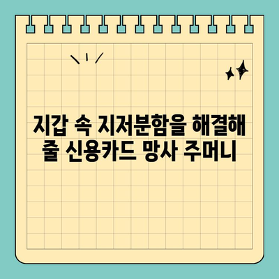 통기성 망사로 카드 보관도 깔끔하게! 신용카드 망사 주머니 추천 | 카드 정리, 망사 파우치, 카드 수납