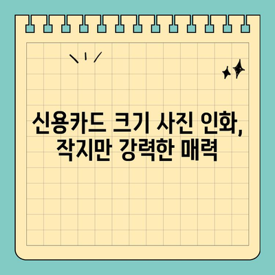 신용카드 크기 사진 인화 분석| 품질 비교 & 최적의 선택 가이드 | 사진 인화, 크기 비교, 품질 분석, 추천