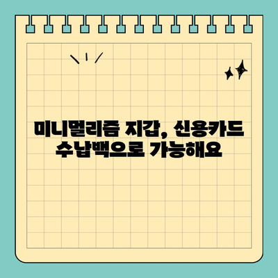 지갑 속 불필요한 짐, 신용카드 크기 수납백으로 깔끔하게 정리하기 | 미니멀리즘, 휴대용 파우치, 수납 정리 팁