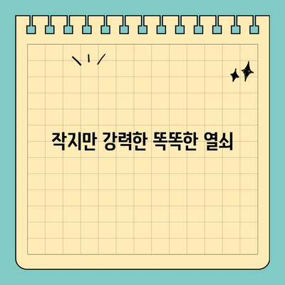 현대모비스 버튼형 스마트 카드 키| 크기와 편의성을 갖춘 똑똑한 열쇠 | 자동차 키, 스마트 키, 편리함, 디자인