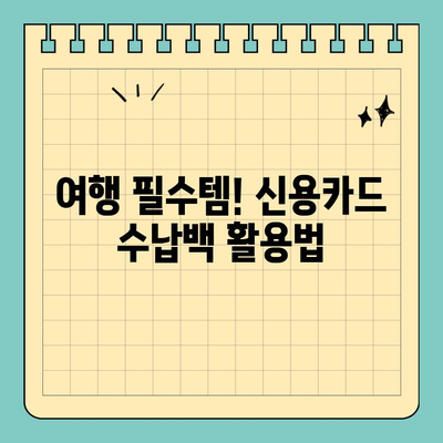 여행 필수템! 신용카드 크기 가방 수납백| 짐 부피 줄이고 편리함 UP | 여행준비, 여행꿀팁, 여행가방, 수납백