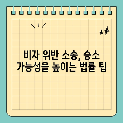 비자 위반 소송| 항소 및 재심 절차 완벽 가이드 | 이민법, 소송, 재판, 법률 팁