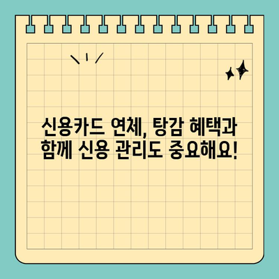 신용카드 연체 규모별 빚 탕감 혜택 비교 분석 | 연체, 빚 탕감, 신용 관리, 파산, 법률
