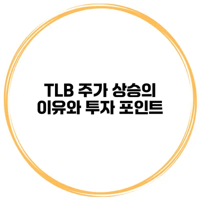 TLB 주가 상승의 이유와 투자 포인트