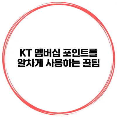 KT 멤버십 포인트를 알차게 사용하는 꿀팁