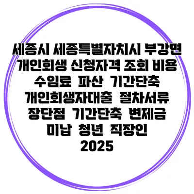 세종시 세종특별자치시 부강면 개인회생 신청자격 조회 비용 수임료 | 파산 | 기간단축 | 개인회생자대출 | 절차서류 | 장단점 | 기간단축 | 변제금 미납 | 청년 | 직장인 2025